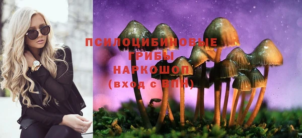 ешки Михайловск