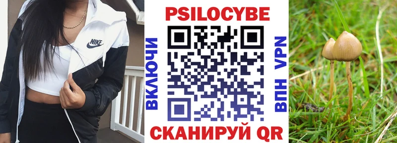 Галлюциногенные грибы прущие грибы  Купить где  Сим 